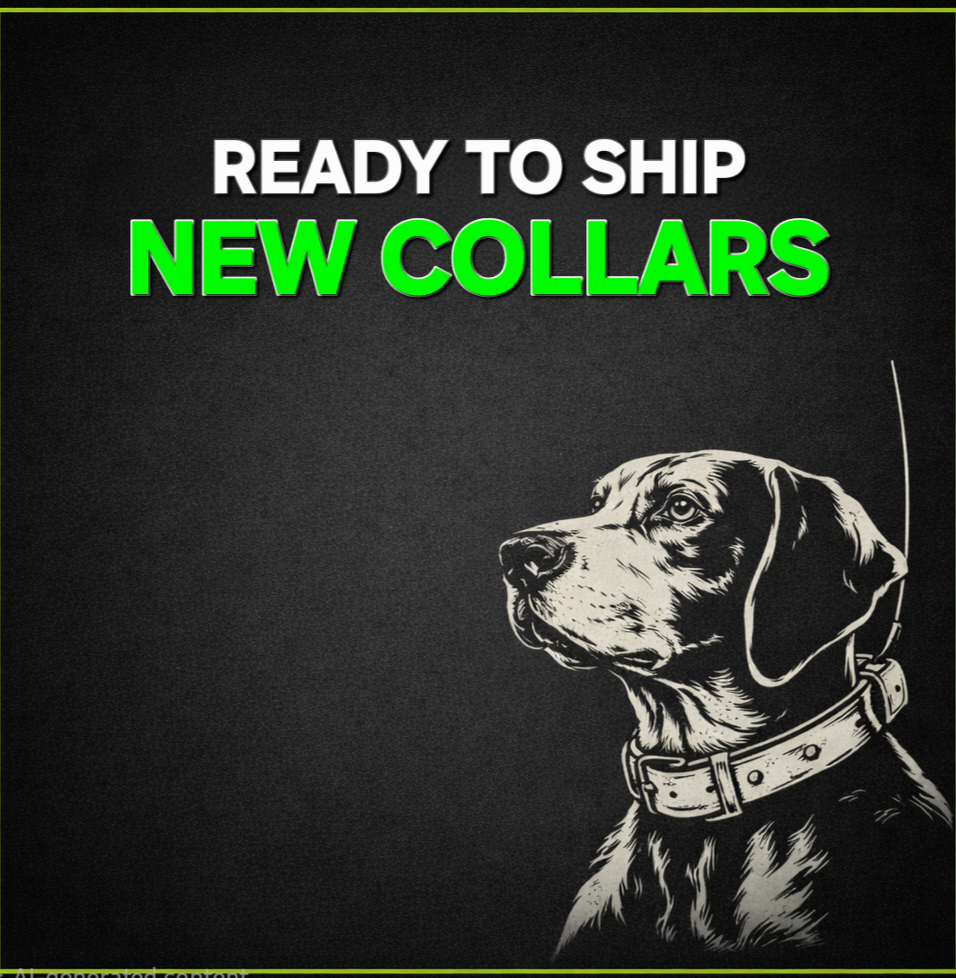 Ready to Ship: New Collars