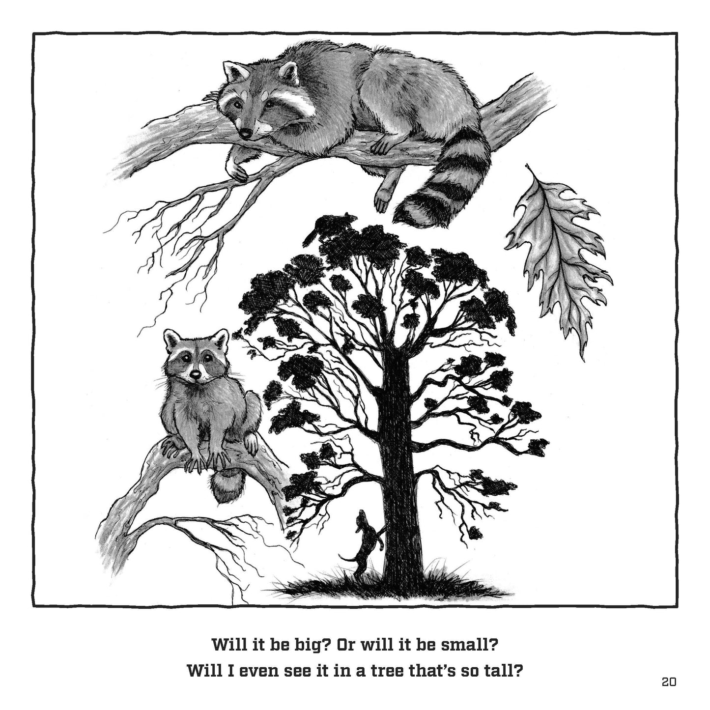 On The Trail: A Coonhunting Tale