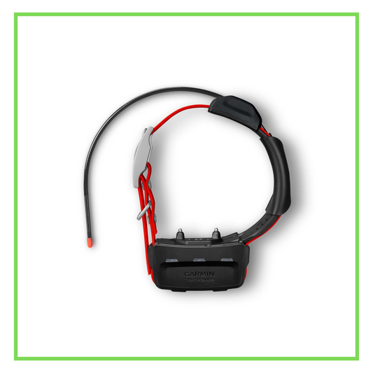 TT 15x Track and Train Dog Device