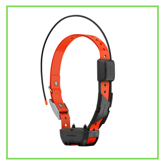 Garmin Alpha TT25 collar