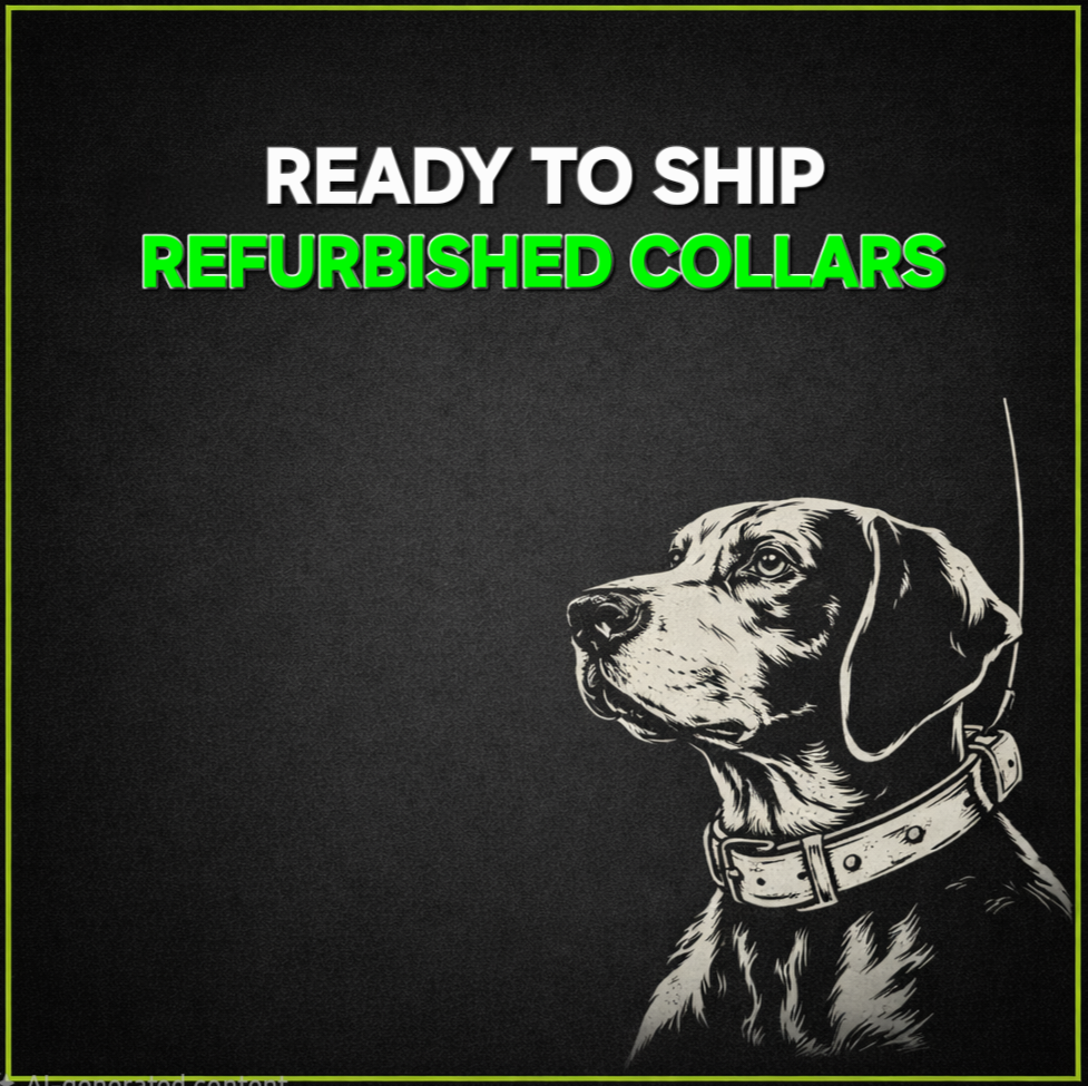Ready To Ship: Refurbished Collars
