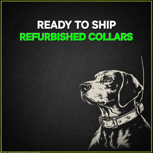 Ready To Ship: Refurbished Collars