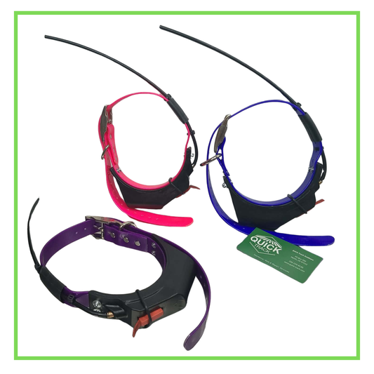Ready To Ship: Refurbished Collars