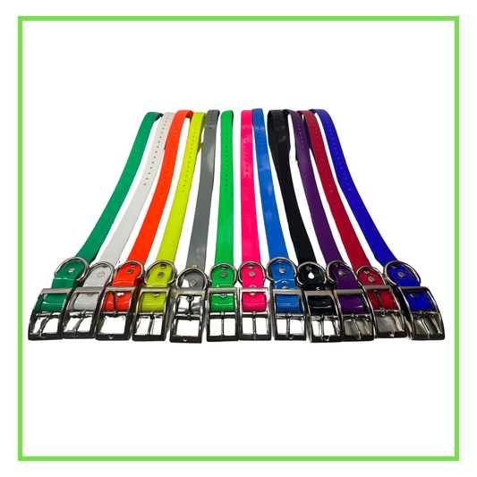 D-Ring ID Collar with Name Plate – 1" Sun Glo (Solid)
